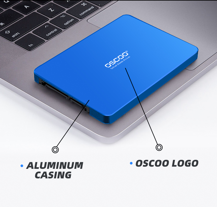 OSCOO 256 GB SSD-001BLUE inch SATA High Speed SSD Solid State